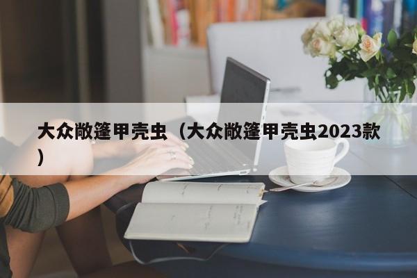 大众敞篷甲壳虫（大众敞篷甲壳虫2023款）