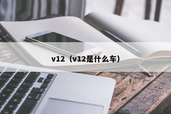 v12（v12是什么车）