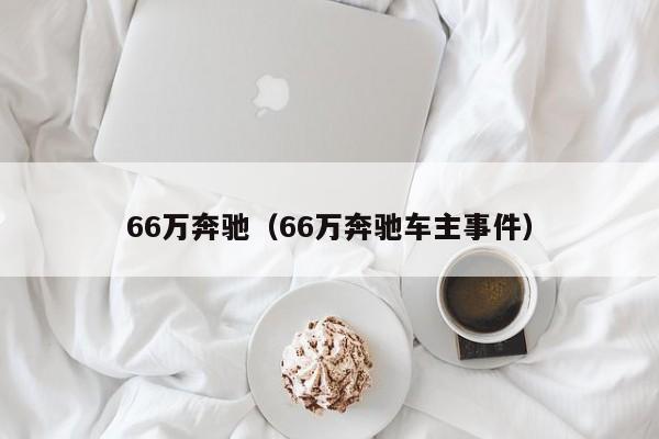 66万奔驰（66万奔驰车主事件）