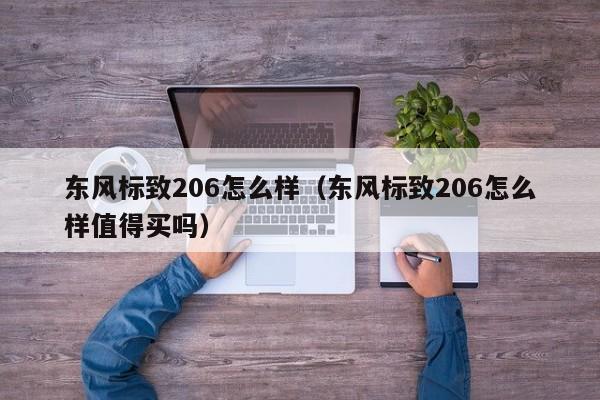 东风标致206怎么样（东风标致206怎么样值得买吗）