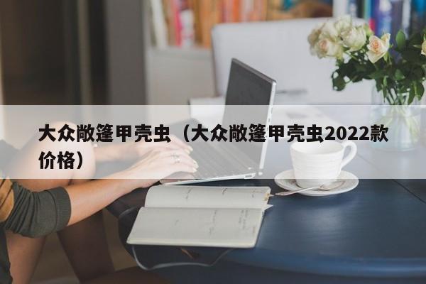 大众敞篷甲壳虫（大众敞篷甲壳虫2022款价格）