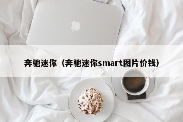 奔驰迷你（奔驰迷你smart图片价钱）