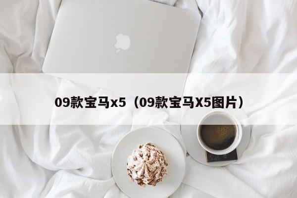 09款宝马x5（09款宝马X5图片）