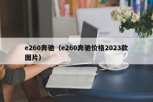 e260奔驰（e260奔驰价格2023款图片）