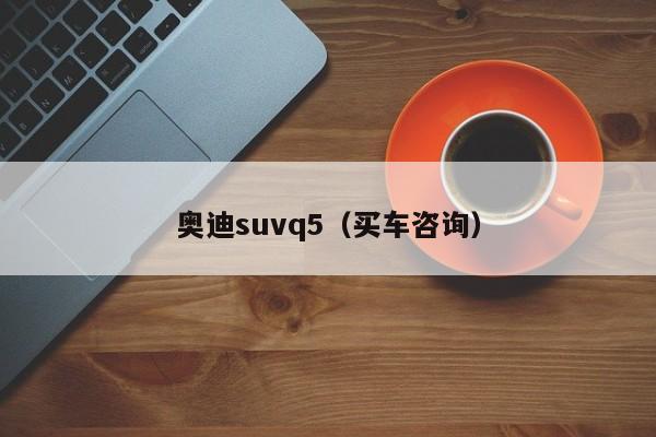 奥迪suvq5（买车咨询）