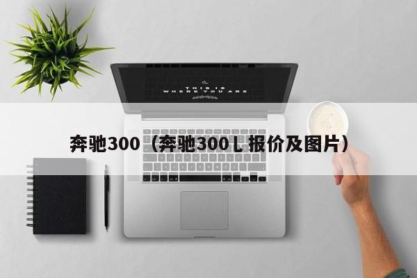 奔驰300（奔驰300乚报价及图片）