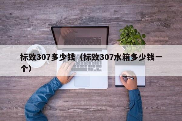 标致307多少钱（标致307水箱多少钱一个）