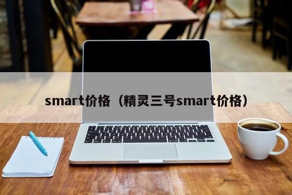 smart价格（精灵三号smart价格）