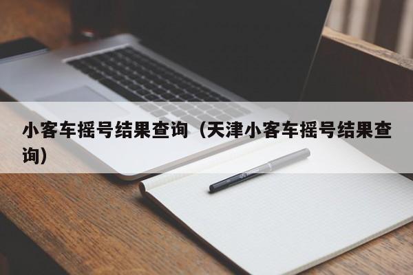 小客车摇号结果查询（天津小客车摇号结果查询）