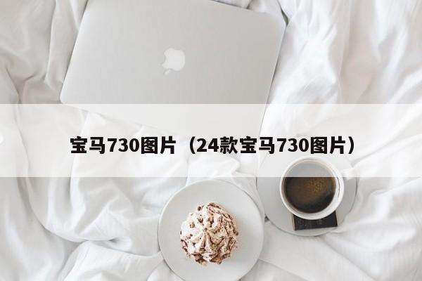 宝马730图片（24款宝马730图片）