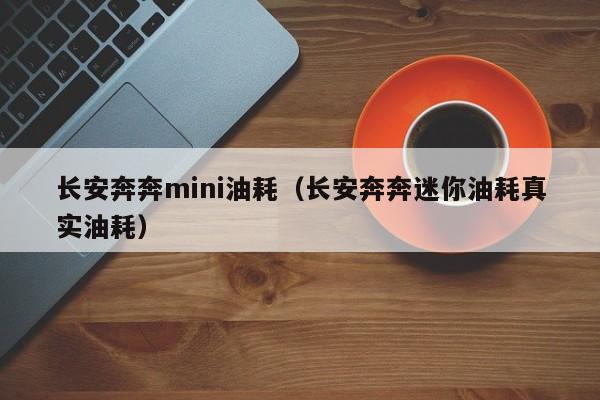 长安奔奔mini油耗（长安奔奔迷你油耗真实油耗）