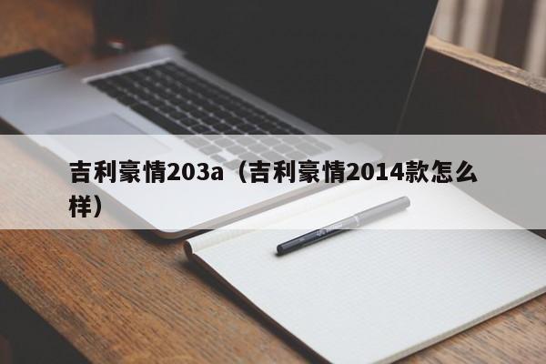 吉利豪情203a（吉利豪情2014款怎么样）