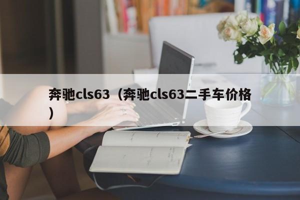 奔驰cls63（奔驰cls63二手车价格）